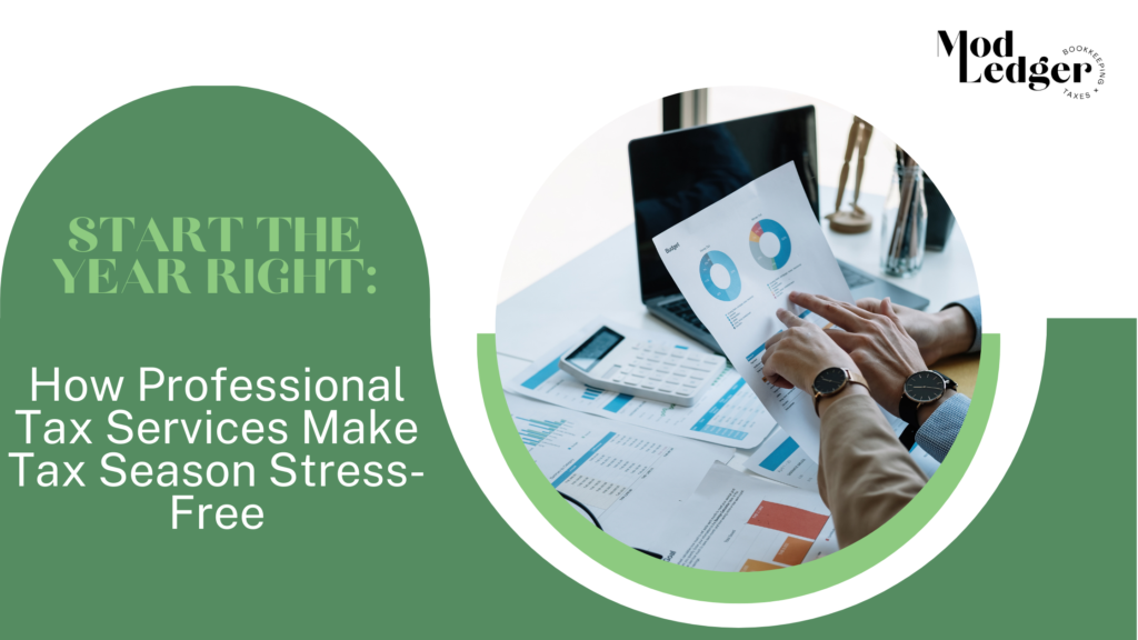 Professional Tax Services